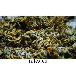 Pierwiosnek Kwiat Primula Veris 1 Kg