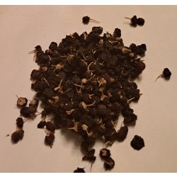 Owoc Dzikiej Jagody Tybetańskiej 50 G