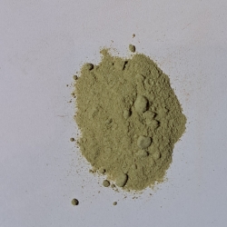 Szparagi Zielone Proszek 100 G