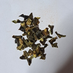 papryka Jalapeno Zielona 1 Kg