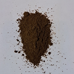 Seler Ziarno Mielony 50g