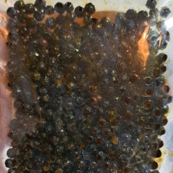 pieprz whisky | cały | alk. < 1% obj.50 g