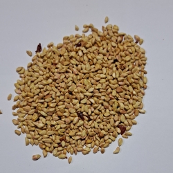 Pestki dzikiej róży 100 g