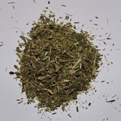 konwalia ziele lilium convalls herba 100 g
