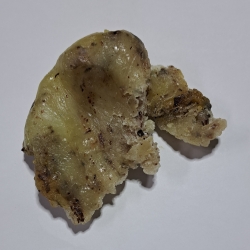 Elemi Żywica Canarium Luzonicum 1 Kg