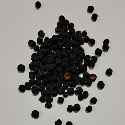 pieprz tasmański cały 100 g