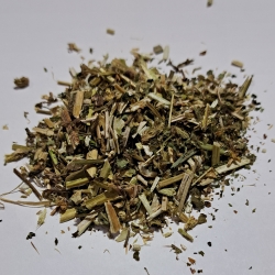 Poziewnik Ziele Galeopsis Tetrahit 1 Kg