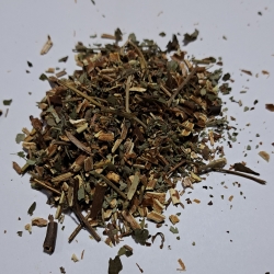 Siedmiopałecznik korzeń 100 g