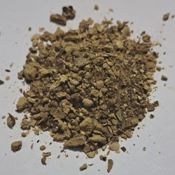 Borowik Suszony Proszek 100 G