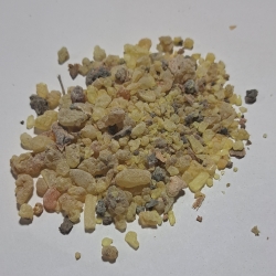 Boswellia Olibanum Żywica 1 Kg