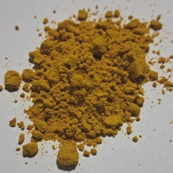 Kurkuma Z Javy Korzeń Mielony Curcuma Zanthorrhiza Roxb 100 G