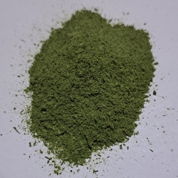 Młody Jęczmień + 7 Zielonych 1 Kg