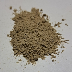 Wilżyna Ciernista Proszek 1kg