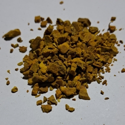 Kurkuma Z Javy Korzeń Grys Curcuma Zanthorrhiza Roxb 100 g
