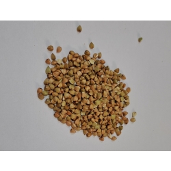 Kasza Gryczana Biała 1kg