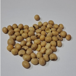 Soja Ziarno 1 Kg