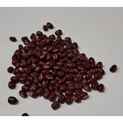 Fasola Adzuki 1 Kg