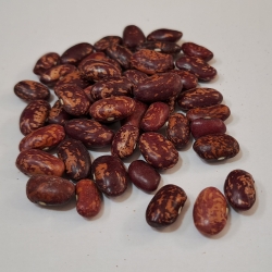 Fasola Kolorowa -malinka 1 Kg