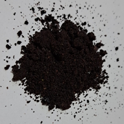 Borówka Amerykańska Suszona Proszek 50 G