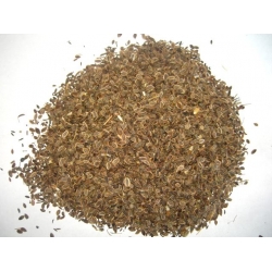 Koper Ogrodowy Owoc Polski 1 Kg