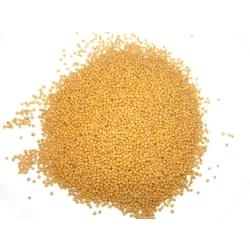 gorczyca Biała 100 G