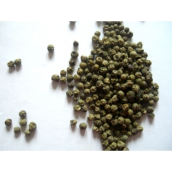 pieprz Zielony 500 G