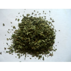 Czosnek Niedzwiedzi 20 G