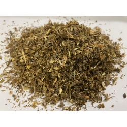 Iglica Pospolita Ziele Cięte 1 Kg