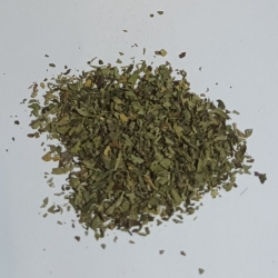 Mięta Cytrynowa Nowość 1 Kg