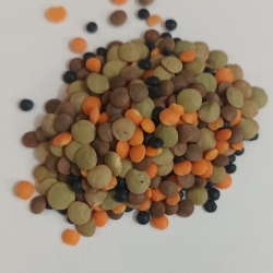 Soczewica Kolorowa 4 Kolory 100 G