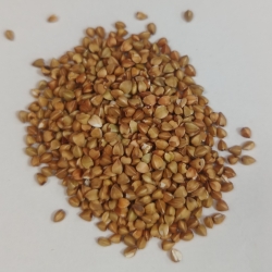 Kasza Gryczana Palona 1kg