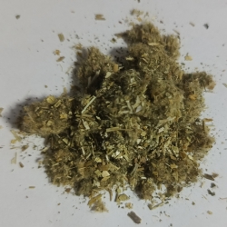 traganek ziele astragalus herba 1 kg
