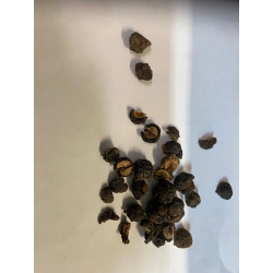 Amla Emblica Officinalis Liściokwiat Garbnikowy cała nie mielona 1 Kg