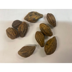 Migdałecznik Chebułowiec Cały Owoc 1 Kg