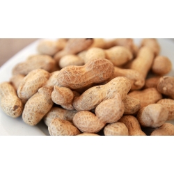 Fistaszki W Łup. 100g