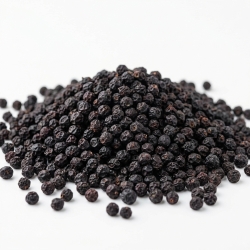 Bez dziki owoc sambucus ebulus 100 g