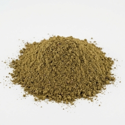 Brzoza Pąki mielone 1kg