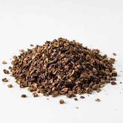 Borowik Suszony Grys 100 G