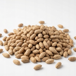 Nasiona Miodla Indyjska Neem Azadirachta Indica 100 G