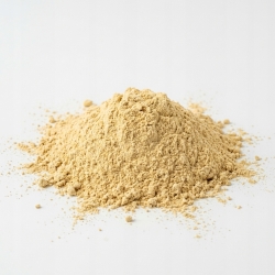 Traganek korzeń Mielony Astragalus Membranaceus 1 Kg