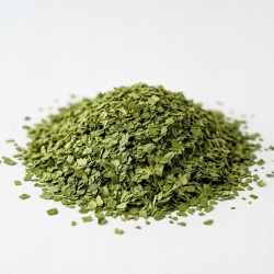 Herbata Mate Green Kaktus 1kg
