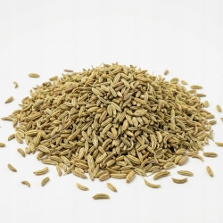 Koper Ogrodowy Owoc Polski 50 G