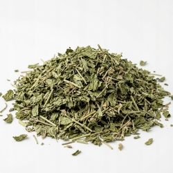 Mięta jabłkowa 1 Kg