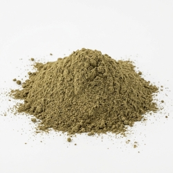 Cykoria Ziele mielone na pył 1 Kg