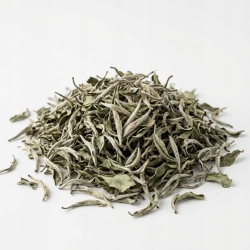 Herbata Biała 1 Kg