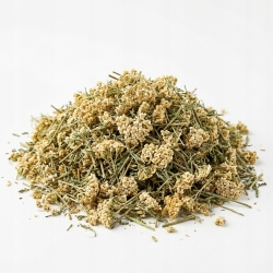 Kwiat Krwawnika 100g