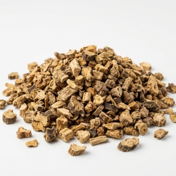 Kosaciec Żółty Korzeń Iris Pseudoacorrus Rhizoma 1 Kg