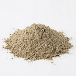 Bertram Rzymski Anacyclus Pyrethrum mielony 500 G