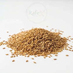 Siemie Lniane Złote Len 150 G