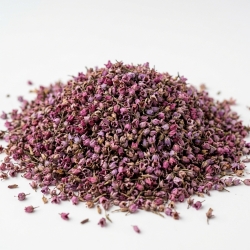 Wrzos Kwiat Gatunek Pierwszy 500 G